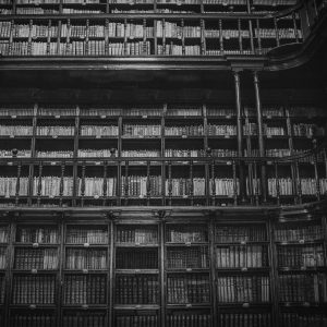 factom blockchain (FCT)