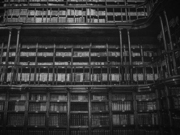 factom blockchain (FCT)